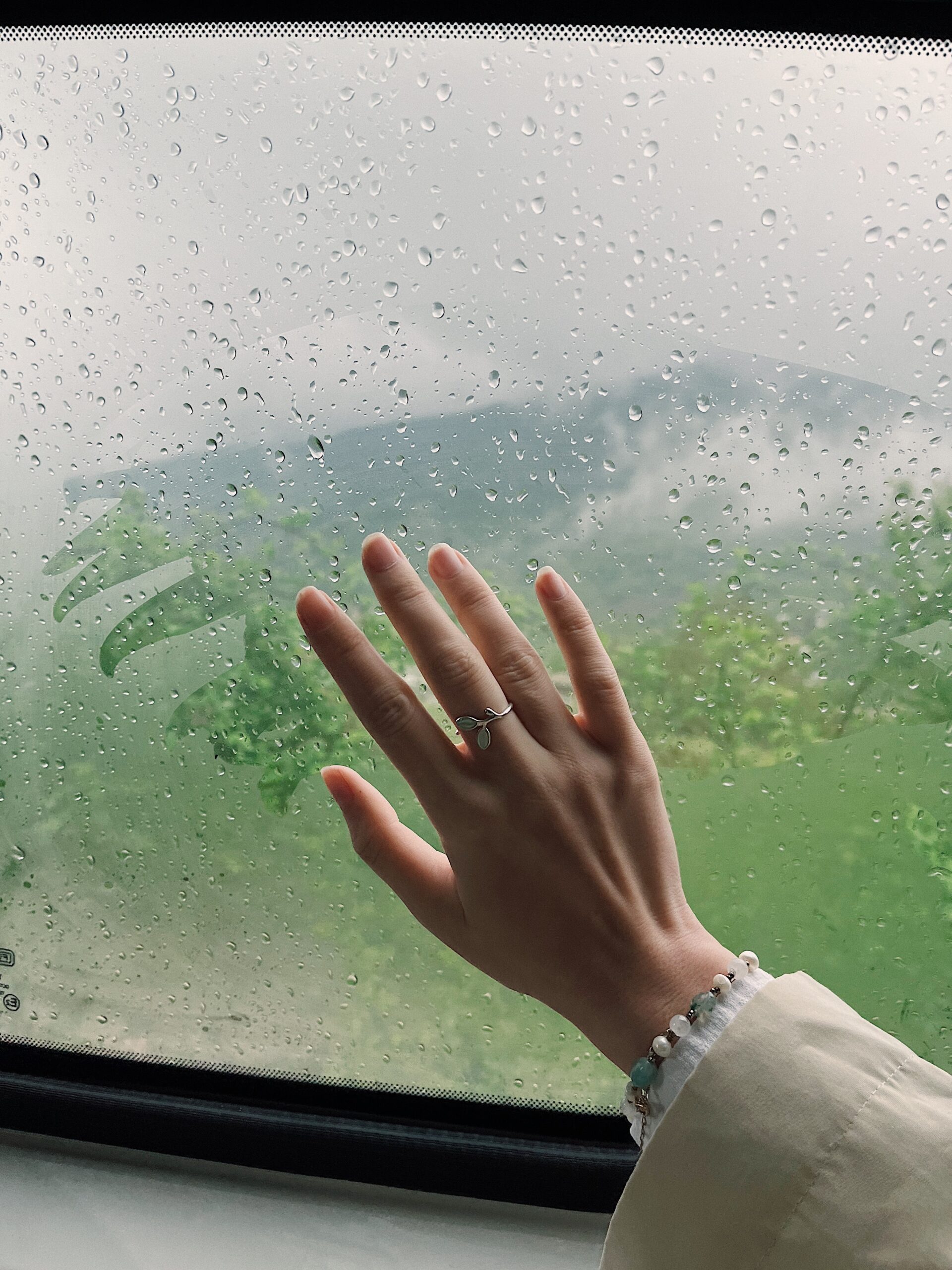 Somatic Artifacts And You: A Crucial Connection - nfdk82a
